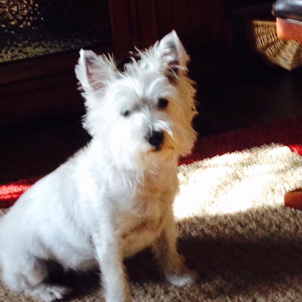 Meet your Posher, Marsha